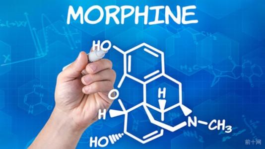 当亲人受癌症折磨，医生该用*啡吗**么？——*啡吗**医疗案感想一二