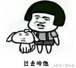 一些四字成语的解释,说的四字成语有哪些