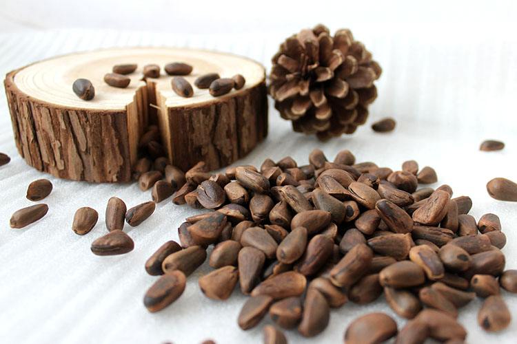 长白山松子是干果吗,被称为长寿果的长白山野生松子