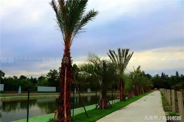 好吃到爆的鱼摆摆,吃遍成都50家鱼摆摆