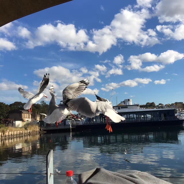 学姐学长的朋友圈，飞过一整个世界
