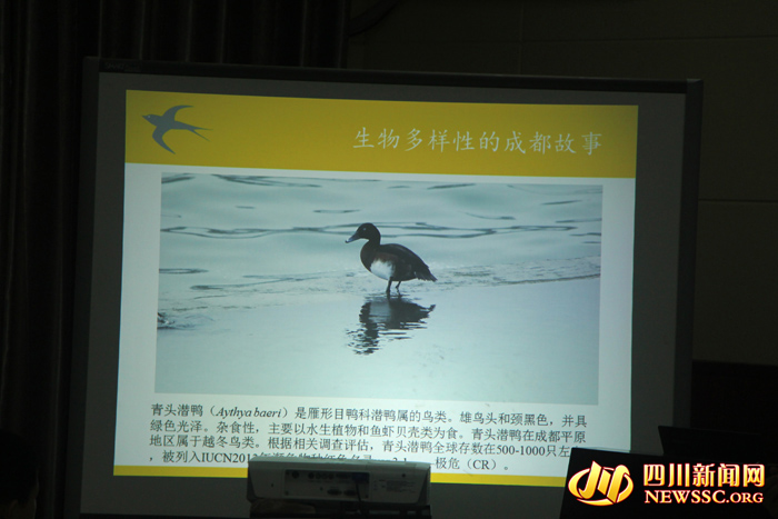 小学开学防控第一课,小学开学第一课如何防控