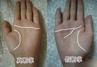 断掌怎么讲解,初学者如何判断断掌