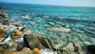 朱卫东葡萄酒品种,葡萄酒的酿造和品鉴心得体会