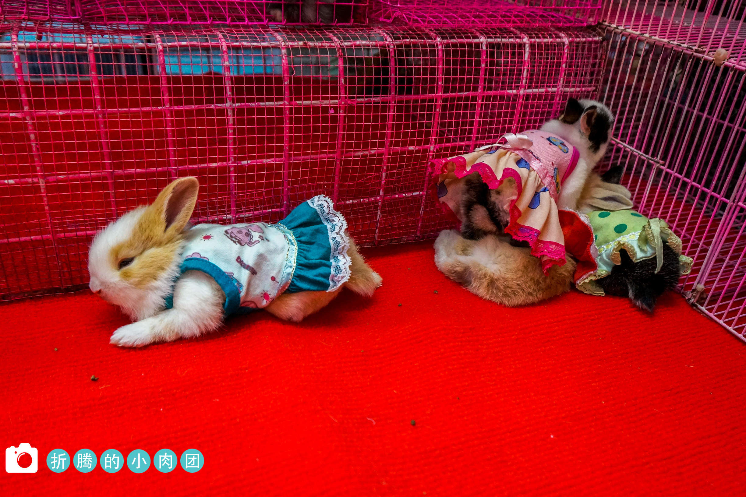 泰国曼谷导游推荐,泰国曼谷哪个地方购物便宜