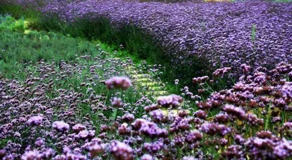 太精辟!一句话形容贵州88区县,看到自己的家乡笑死了!哈哈哈