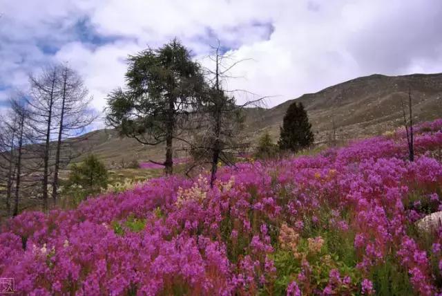 康定旅游景点木格措,康定木格措门票冬天