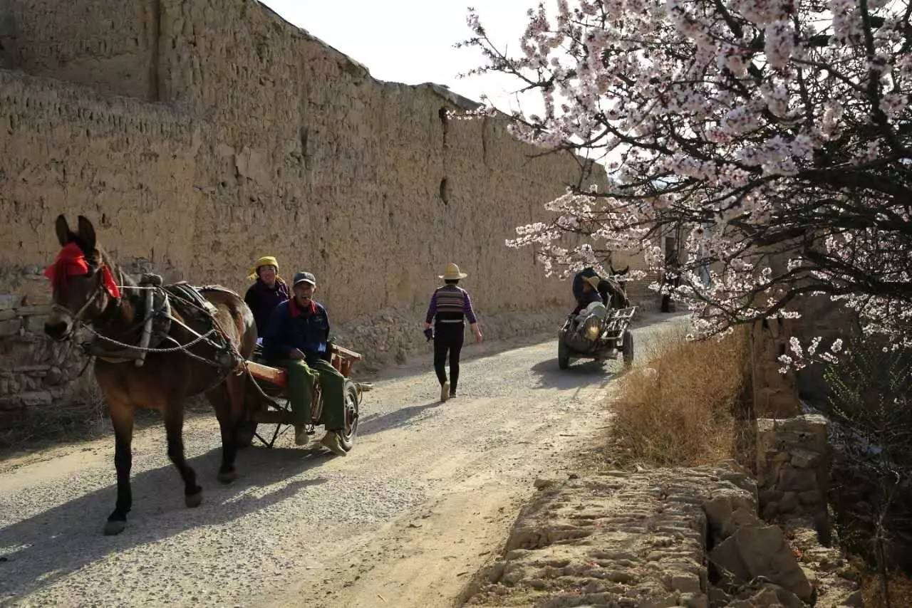 摄影评价技巧,摄影点评人像技巧