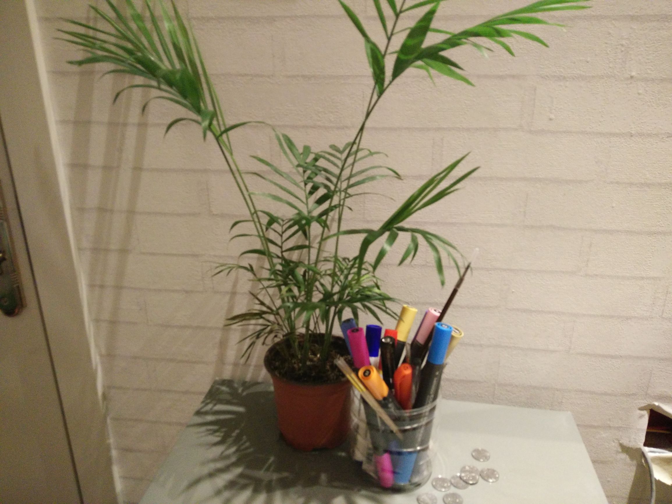 绝不想甘心做永不翻身的白领，学会这个技能，超过85%的人