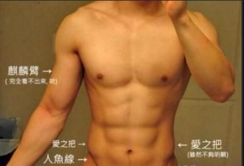 教你如何轻松练出人鱼线,怎么轻易练出人鱼线