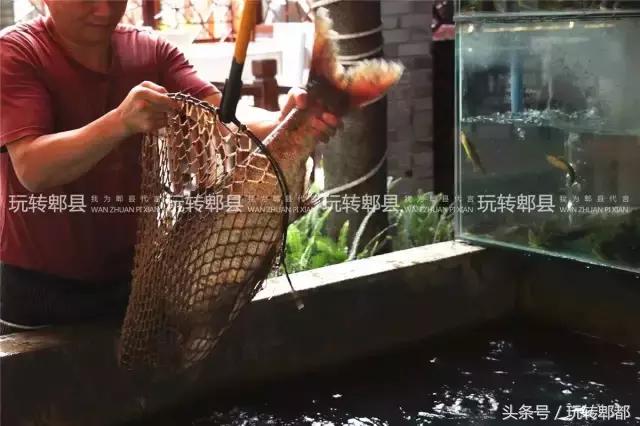 好吃到爆的鱼摆摆,吃遍成都50家鱼摆摆