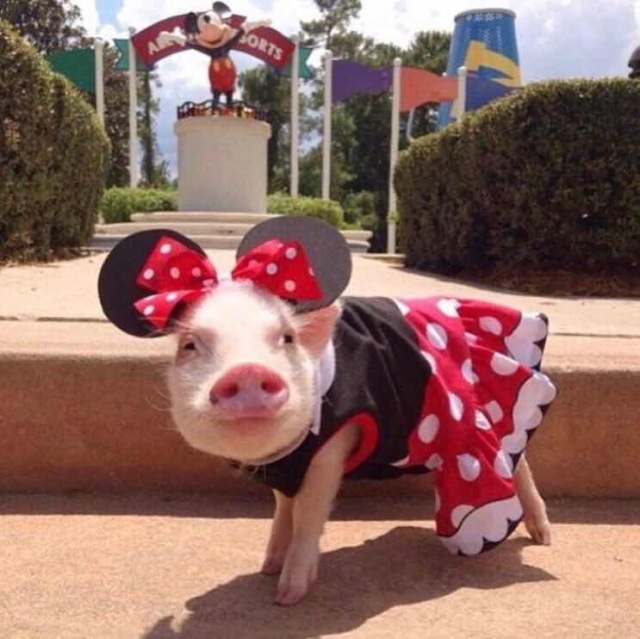 学姐学长的朋友圈，飞过一整个世界