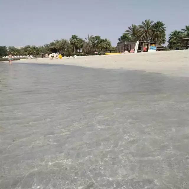 学姐学长的朋友圈，飞过一整个世界