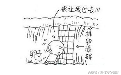 排卵障碍性子宫出血怎么治疗好,排卵障碍的病因及治疗方法