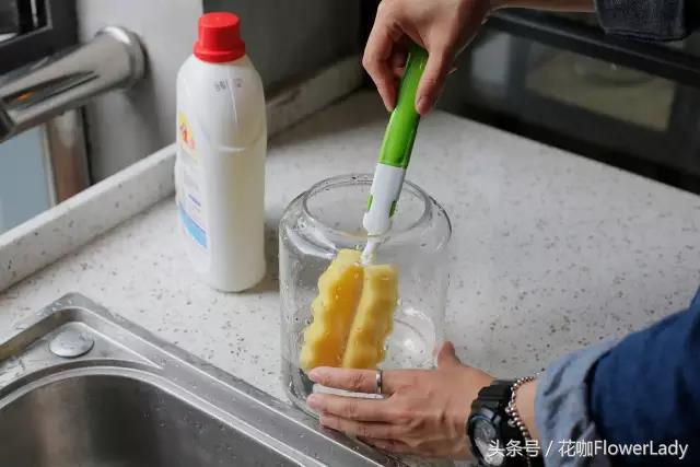 勿忘我如何打理最好,勿忘我怎么养才不会枯萎