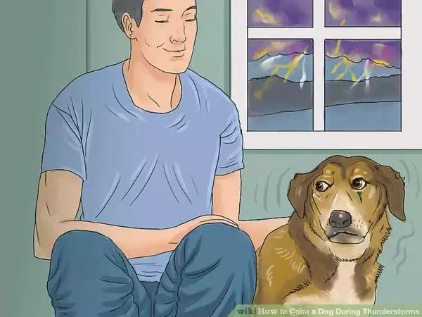 狗狗怕打雷怎么处理,怎样能克服狗狗怕打雷呢