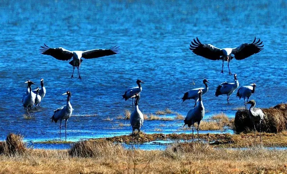 太精辟!一句话形容贵州88区县,看到自己的家乡笑死了!哈哈哈