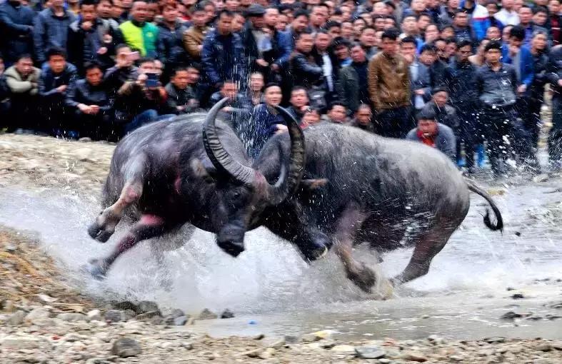 太精辟!一句话形容贵州88区县,看到自己的家乡笑死了!哈哈哈