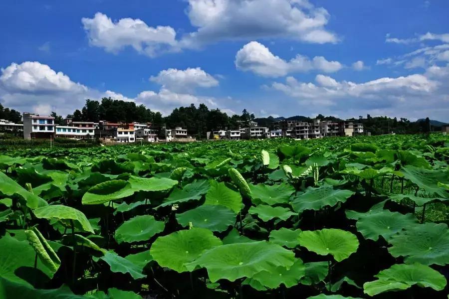 太精辟!一句话形容贵州88区县,看到自己的家乡笑死了!哈哈哈