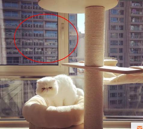 陈赫的天价豪宅,陈赫上海豪宅内景曝光