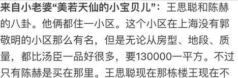 陈赫的天价豪宅,陈赫上海豪宅内景曝光