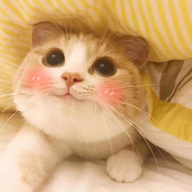 看电视时，你曾经被什么食物深深击中过？