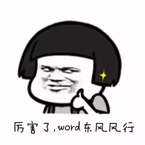 景逸双T,景逸最新款