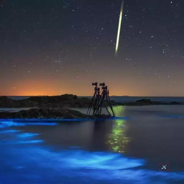 国内看荧光海最好看的地方,世界上最梦幻的荧光海