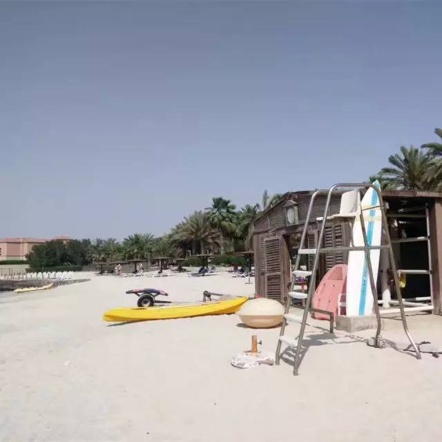 学姐学长的朋友圈，飞过一整个世界