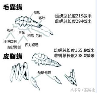 变美第一步就是清洁肌肤,美肌肌肤管理