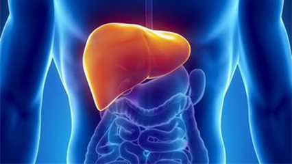 慢性肝炎到肝衰多久,慢性肝病一般病程多长会得肝癌