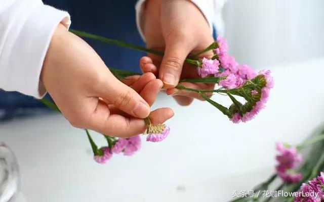 勿忘我如何打理最好,勿忘我怎么养才不会枯萎