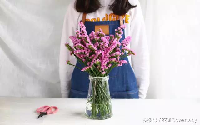 勿忘我如何打理最好,勿忘我怎么养才不会枯萎