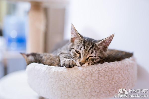 新手入坑摄影相机推荐,新手入坑摄影相机推荐学生