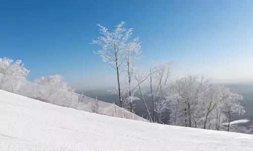 懒人必备的福利,懒人的超级福利