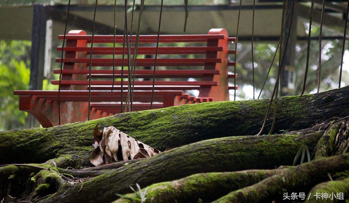 信用卡被降额了怎么还款最好,平安信用卡刚还款就降额怎么处理