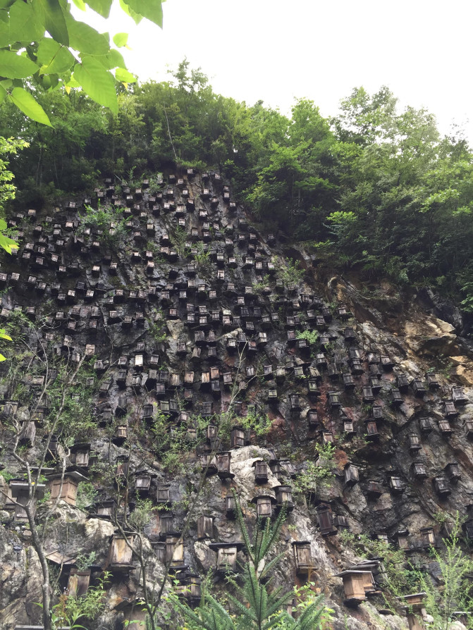 万州到神农架自驾游,神农架自驾游帐篷区