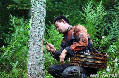 水性漆是不是未来的必然趋势呢,什么是水性漆以及水性漆有哪些