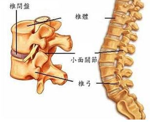 转动脖子咔咔响怎么锻炼,转脖子咔咔响手法