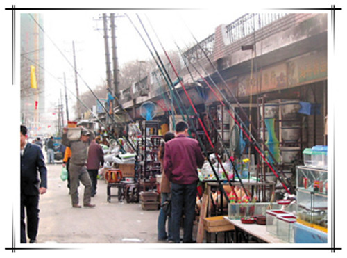 大王的钓鱼日记,钓鱼日记100个字