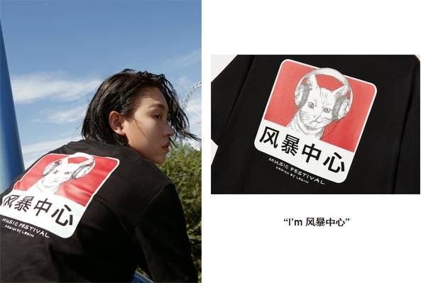 太平鸟的营销方案,太平鸟营销观念