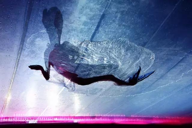 小女孩的三亚游,三亚合适小朋友玩的景区