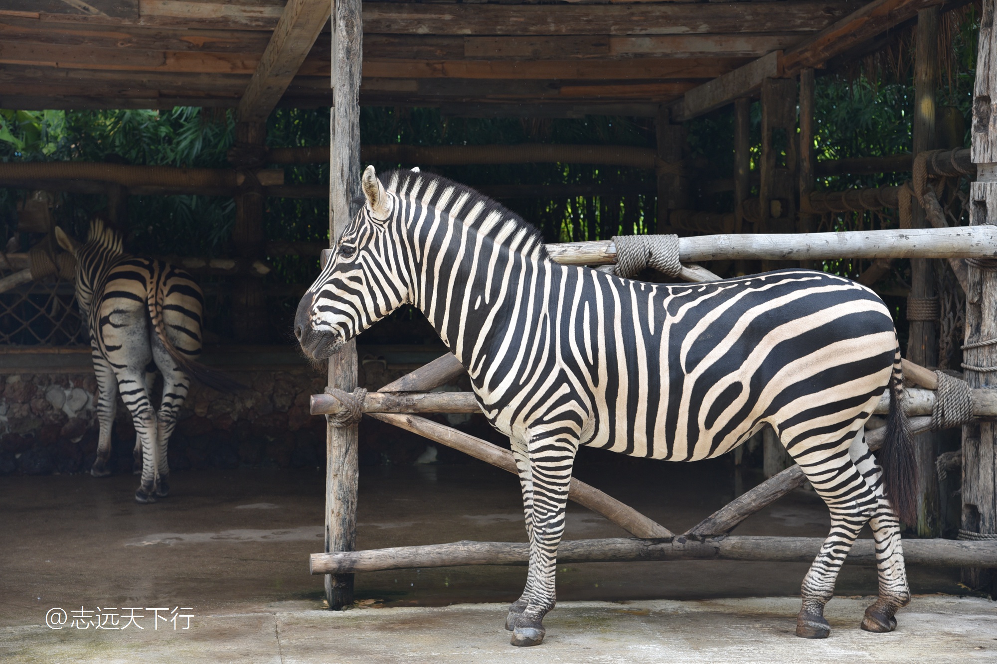 小女孩的三亚游,三亚合适小朋友玩的景区