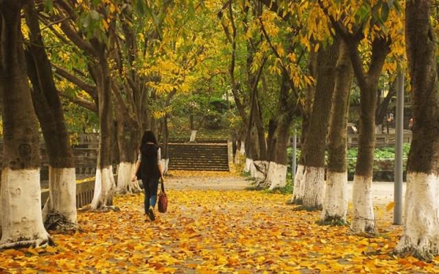 教师节快乐老师辛苦了英语怎么说,感恩教师节六年级祝福老师