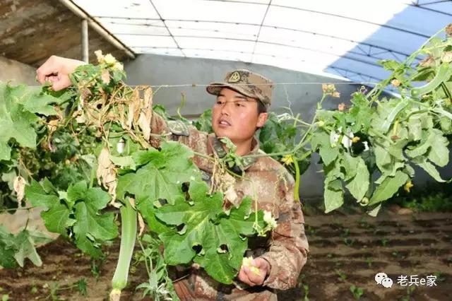 驻藏也能乐呵呵？为你解锁不一样的林芝军营