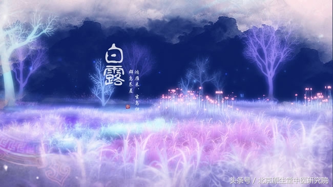 二十四节气白露高清图,二十四节气之白露儿歌