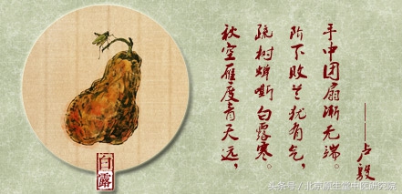 二十四节气白露高清图,二十四节气之白露儿歌