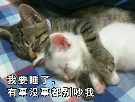 石家庄99%人的上班状态,最后一个说到心坎里了!