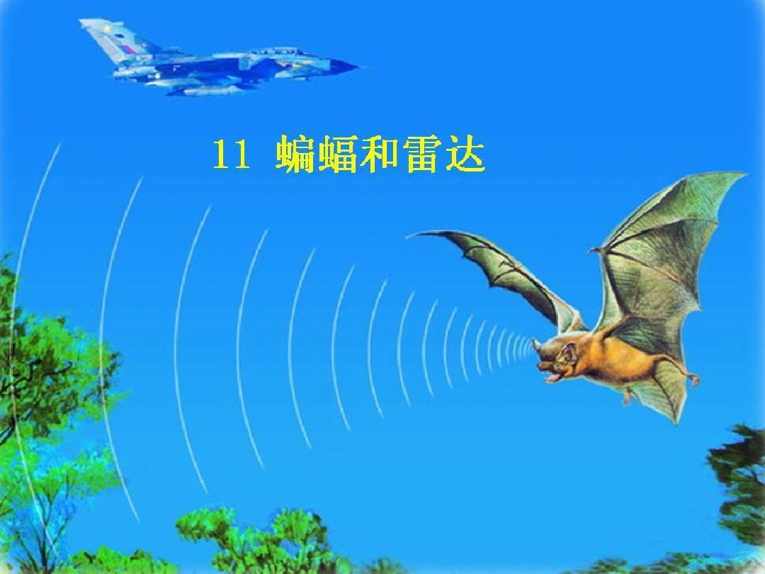 监视之眼：从萨德系统告诉你雷达的工作原理