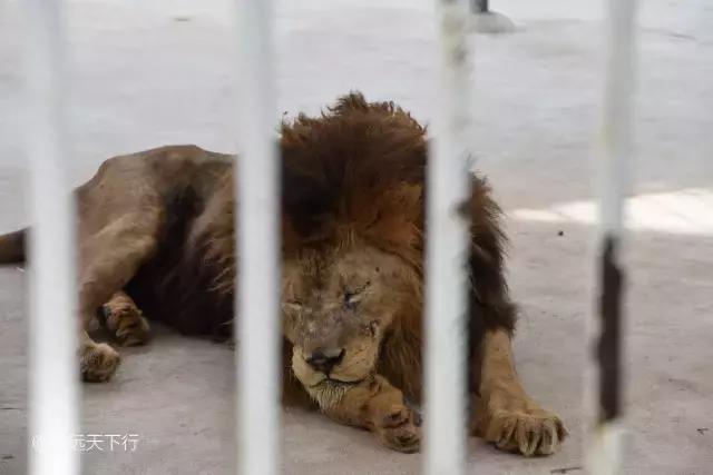 小女孩的三亚游,三亚合适小朋友玩的景区